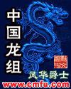 中国龙组小说有几部